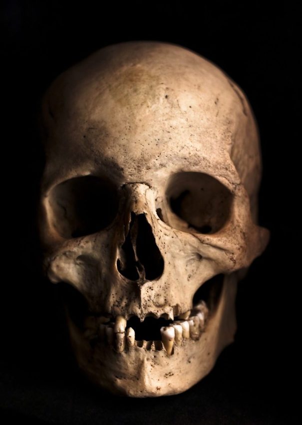 skull-765477_1280-853x1200